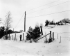 Bruso Property, Fenced Field