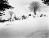 Bruso Property, Snow-Covered Field