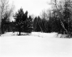 Bruso Property, Snow-Covered Field and Forest