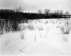 Hibbard Property, Snow-Covered Field