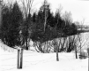 Hibbard Property, Fenced Field and Forest