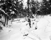 Hibbard Property, Forest View