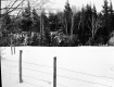 Hibbard Property, Fenced Field