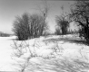 Brigham Property, Fenced Fields