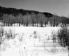 Brigham Property, Snow-Covered Field and Forested Hill