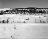 Brigham Property, Fenced Fields