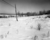 Brigham Property, Snow-Covered Fields