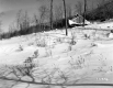 Brigham Property, Sugar House