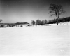 Brigham Property, Snow-Covered Field