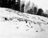 Twin State Realty Company Property, Snow-Covered Hill