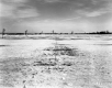 Smith Property, Farm Fields