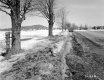 Smith Property, Farm Fields along Rural Road