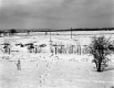 Smith Property, Snow-Covered Fields