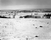 Smith Property, Farm Fields