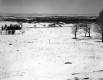 Smith Property, Farm Fields