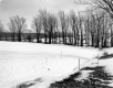 Smith Property, Field and Trees