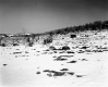 Gates Property, Rocky Field