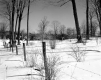 Gates Property, Fenced Field