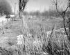 Berthiaume Property, Fenced Field