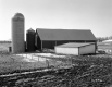 Berthiaume Property, Barns and Silos