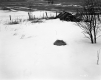 Collins Property, Spring House