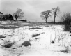 Collins Property, Farm Fields