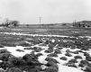 Tessier Property, Farm Fields