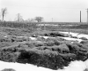 Tessier Property, Crop Field