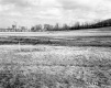 Howrigan Property, Farm Fields