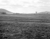 Howrigan Property, Farm Fields