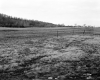 Gratton Property, Farm Fields