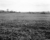 Gratton Property, Farm Fields