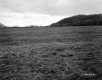 Gratton Property, Farm Fields