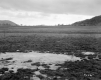Gratton Property, Farm Fields