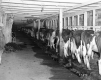 Gratton Property, Dairy Barn Interior