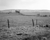 Dussault Property, Farm Fields