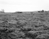 Dussault Property, Farm Fields