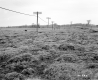 Dussault Property, Power Lines through Farm Fields