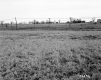 Dussault Property, Power Lines through Farm Fields