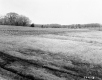 Hubbard Property, Crop Field