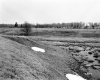 Hubbard Property, Farm Fields
