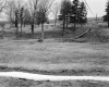 Hubbard Property, Field and Trees