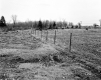 Hubbard Property, Farm Fields