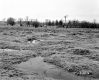 Hubbard Property, Power Lines through Field
