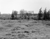 Hubbard Property, Farm Fields