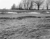 Hubbard Property, Crop Field