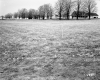 Hubbard Property, Field and Trees