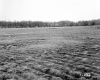Hubbard Property, Farm Fields