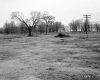 Hubbard Property, Farm Fields