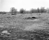 Hubbard Property, Farm Fields